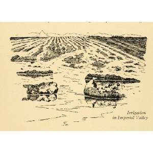  1906 Wood Engraving Irrigation Imperial Valley California 