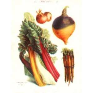  Vegetables Poster Print