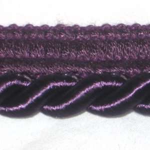   Wrights Purple 3/8 inch Lip Cording  2.25 yrds Arts, Crafts & Sewing