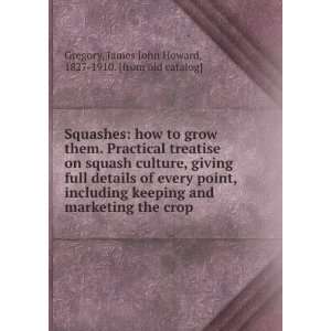  Squashes how to grow them. Practical treatise on squash 