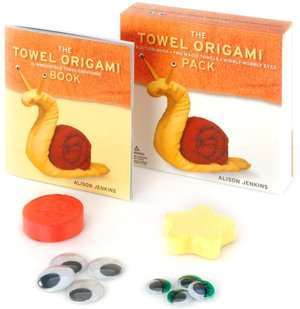   Towel Origami Pack by Alison Jenkins, Andrews McMeel 