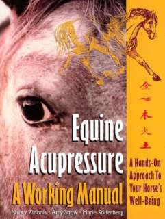   The Well Adjusted Horse Equine Chiropractic Methods 