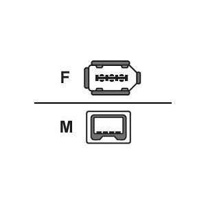  Adaptor Firewire 6pF 4pM Electronics