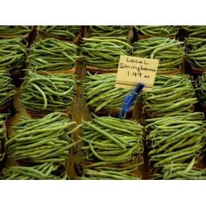Fresh Local Stringbeans Line up for Sale at a Roadside Stand National 