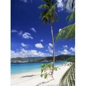 Anse Beach, Grenada, Windward Islands, West Indies, Caribbean, Central 