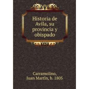 Historia de Avila, su provincia y obispado Juan MartiÌn, b. 1805 