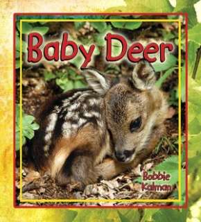   Deer by Emily Rose Townsend, Capstone Press 