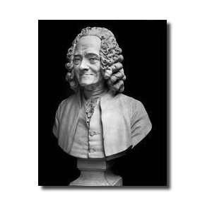  Bust Of Voltaire Giclee Print