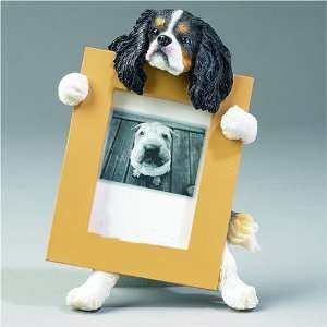  King Charles Cavalier Tri color Dog Picture Frame 2 1/2 X 