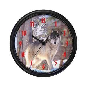  Timber Wolf   White Wolf Wolf Wall Clock by  