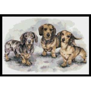  Dachshund Puppies Counted Cross Stitch Pattern Everything 