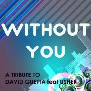 Without You (Instrumental Tribute to David Guetta Feat Usher)