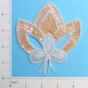  Acorn Sequin Applique 