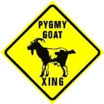 Everything Goats   PYGMY GOAT CROSSING sign * street animal pet