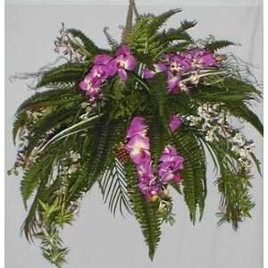  Tropical Orchid and Fern Deluxe Hanging Baskets