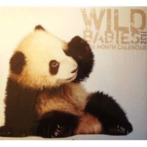  Wild Babies 16 Month Calendar 2011