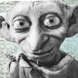  Dobby 4 Fridge Magnet