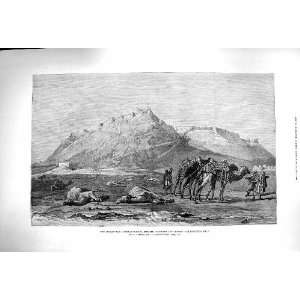  1879 Afghan War Khelat I Ghilzi Candahar Ghuzni Camels 