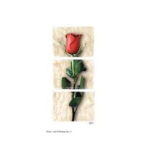  Rose Of Love Poster Print
