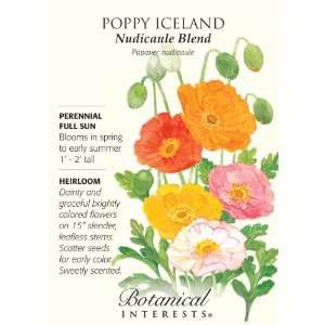  Poppy Iceland Nudicaule Blend Seeds Patio, Lawn & Garden