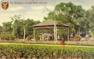 IL CHICAGO THE ELEPHANT LINCOLN PARK ZOO POSTCARD 6956  
