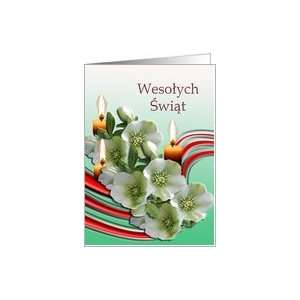 Wesolych Swiat   Polish Christmas Greeting Card Card