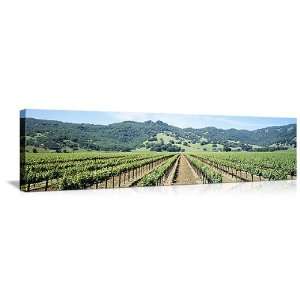  Napa Valley Vineyards on Canvas (48 in x 16 in) Kitchen 