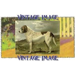   Acrylic Fridge Magnet Dogs St Bernard 2 Vintage Image