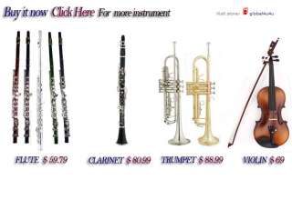 NEW BRAND FLUTE INSTRUMENT CLEANER GOOD FOR ALL + FREE  