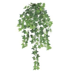 22 Mini Ivy Hanging Bush w/321 Lvs. Green (Pack of 12 