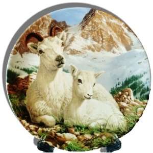  Dall Sheep Collectors Plate from The Beauty of Polar 