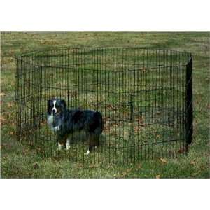 General Cage Deluxe Exercise Dog Pen, 36 H x 28 W