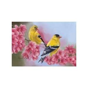   Puzzle Magic Spring Goldfinches Jigsaw Puzzle Toys & Games