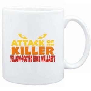   of the killer Yellow Footed Rock Wallabys  Animals