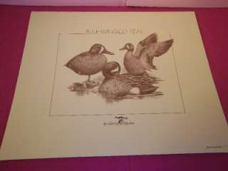   Limited Edition Print Blue Winged Teal Waterfowl Art #254/500  