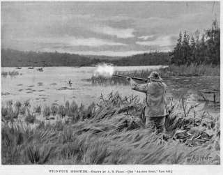 DUCK WATERFOWL HUNTING BY A. B. FROST ANTIQUE DUCK HUNT  