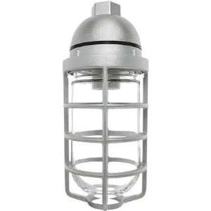   22W Cfl 120V Pendant 3 4 W  Globe Cast Gd