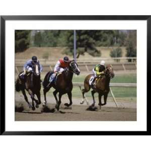  Horse Racing Superstock Photography Collection Framed Art 