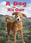 Dog On His Own by Mary Jane Auch NEW FACTORYcs 72ct  