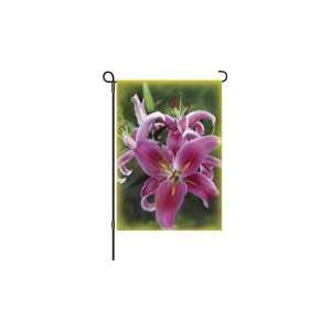  12 IN FLAG   STARGAZER LILY