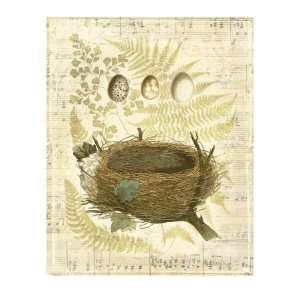 Melodic Nest and Eggs II Premium Giclee Poster Print by Vision Studio 