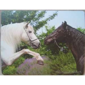 Andalusian Horse Mouse Pad Electronics