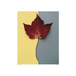  Maple Leaf Poster Print