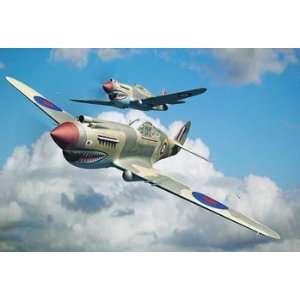  P 40B Warhawk 1 48 by Trumpeter Toys & Games