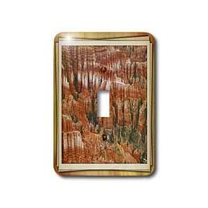 Susan Brown Designs Nature Themes   Bryce Canyon   Light Switch Covers 