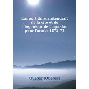   ingenieur de laqueduc pour lannee 1872 73 QuÃ©bec (Quebec) Books