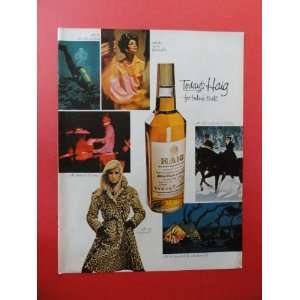  Haig scotch whiskey,1967 Print Ad. (scuba diving/horses 