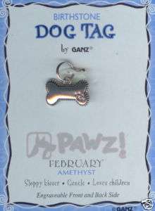 FEBRUARY BIRTHSTONE Amethyst DOG TAG Pet Jewelry Charm  