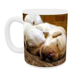 Labrador puppies   Mug   Standard Size