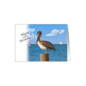  Birthday, 71st, Pelican and Seascape Card Toys & Games